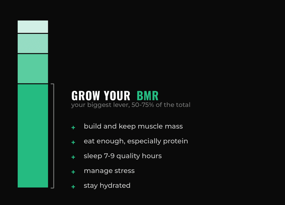 Panel titled grow your BMR, listing build and keep muscle mass, eat enough especially protein, sleep 7 to 9 quality hours, manage stress, and stay hydrated